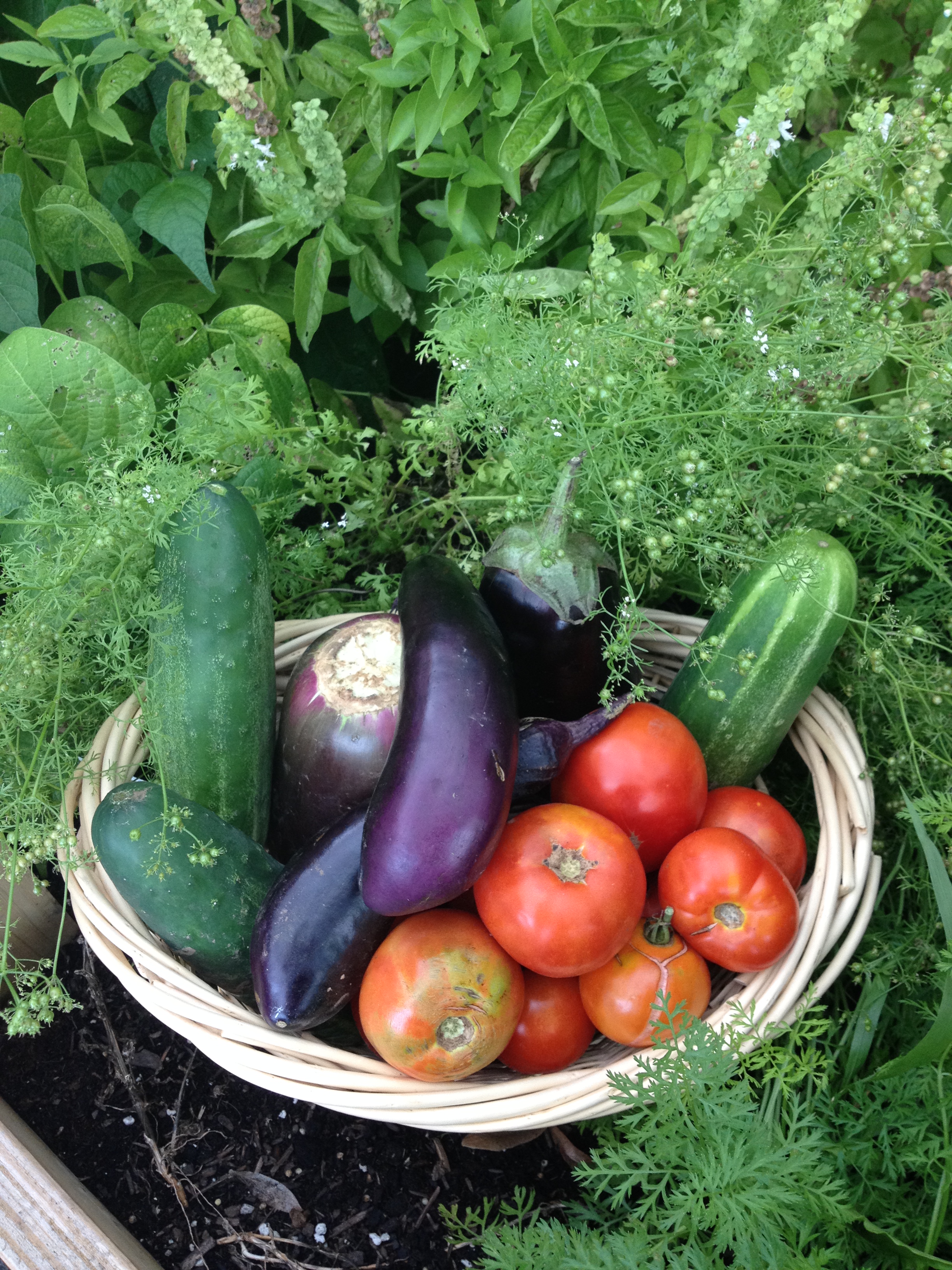 fresh produce in basket