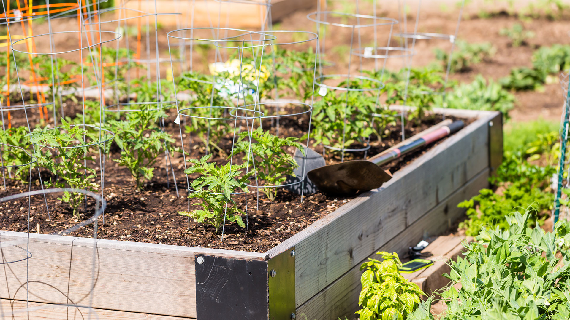 Worksite Gardens | Healthy Siouxland