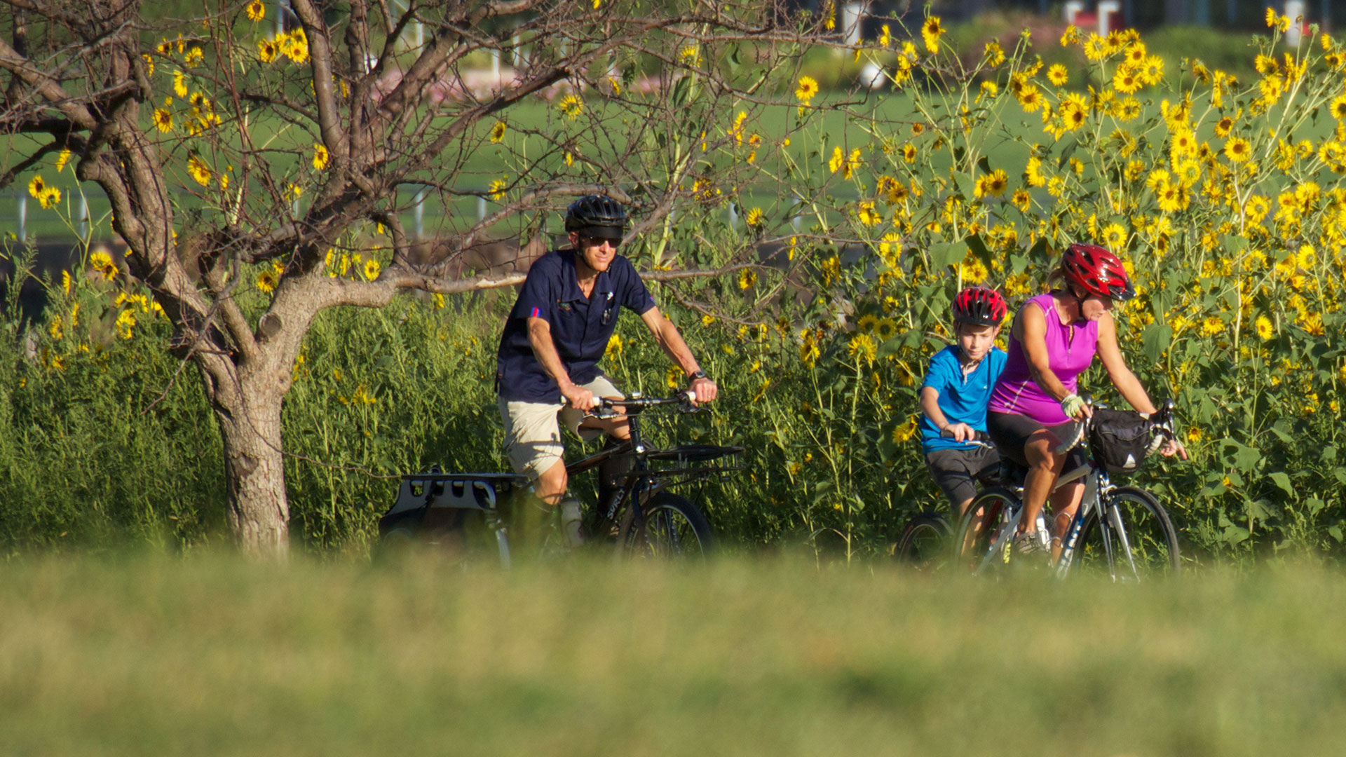 Bike Rack Locations Healthy Siouxland
