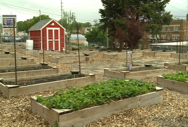 St Thomas’ Episcopal Church Community Garden