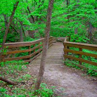 Wooded trail in Woodbury County, Iowa